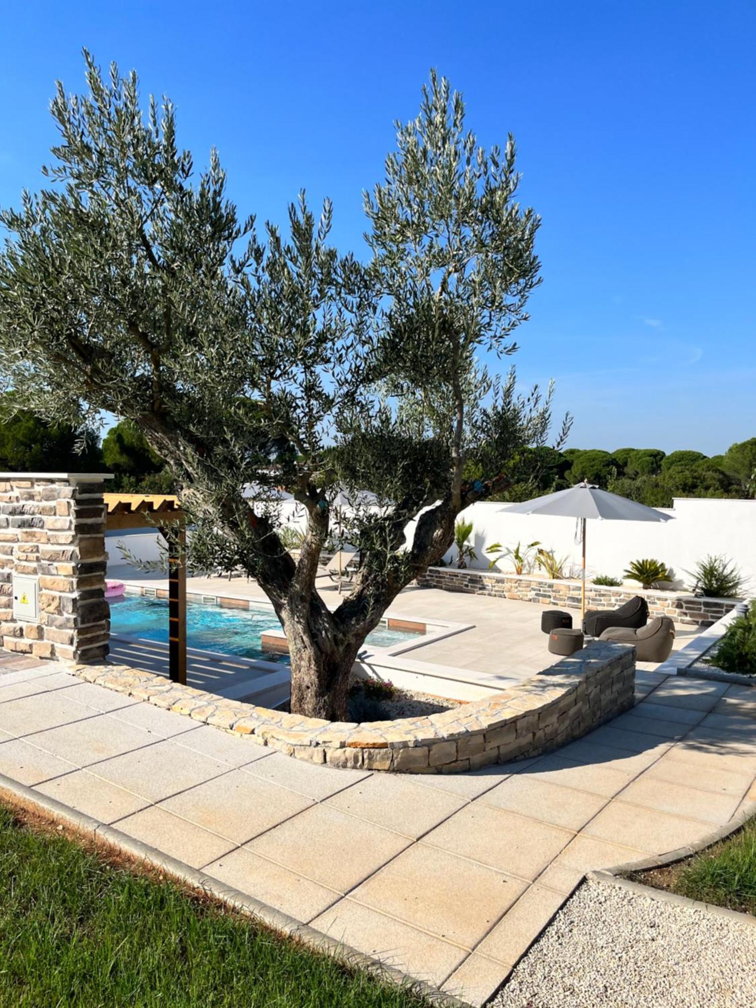 Olivea Luxury Suites 파자나 외부 사진